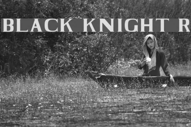BLACK KNIGHT Regular Font examples