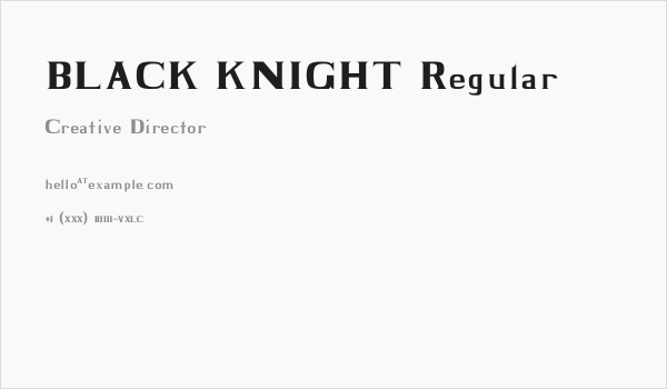 BLACK KNIGHT Regular Business Card