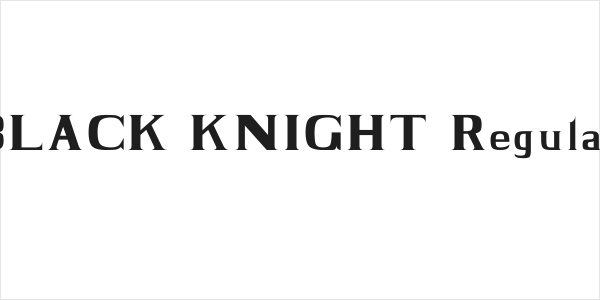 BLACK KNIGHT Regular Logo