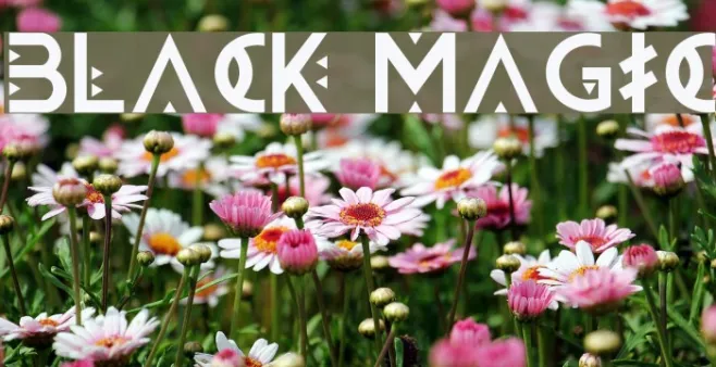 BLACK MAGIC Example 3