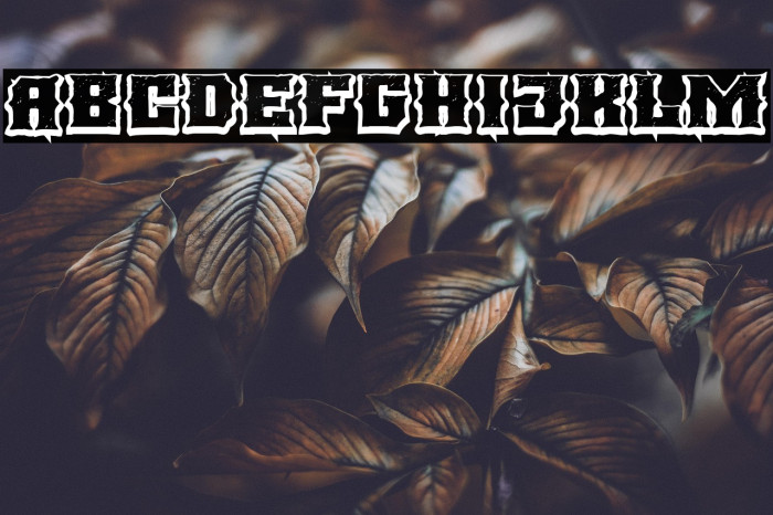 BLACK METAL Example 2