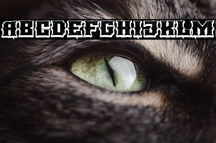 BLACK METAL Example 3