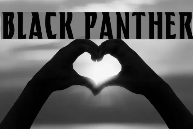 BLACK PANTHER Polices examples