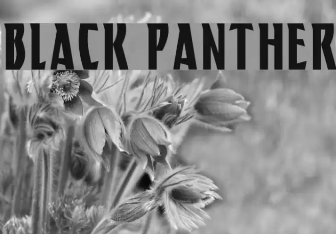 BLACK PANTHER Polices examples