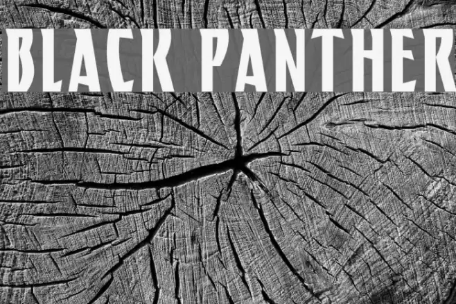 BLACK PANTHER Polices examples