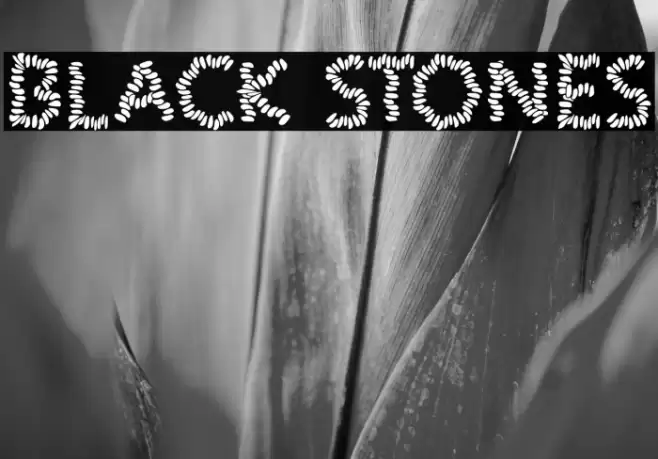 BLACK STONES 字体 examples