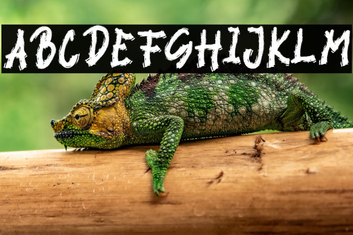 BLACK VIRUS Example 2