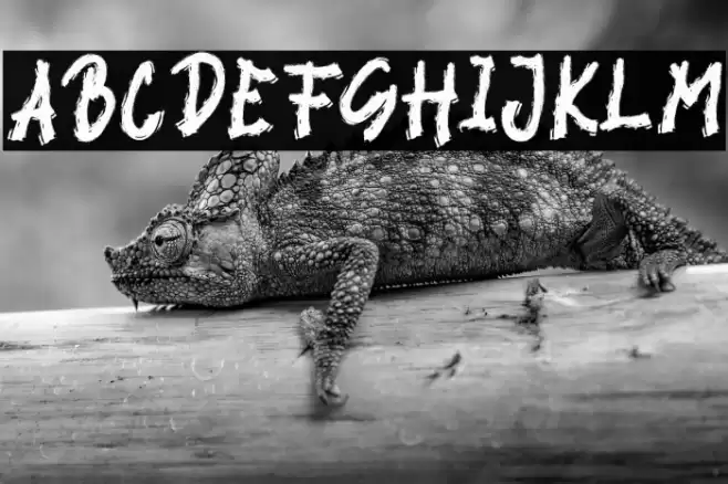 BLACK VIRUS Font examples