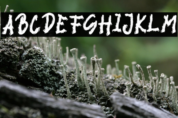 BLACK VIRUS Example 3