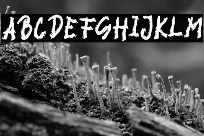 BLACK VIRUS Font examples