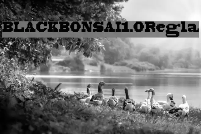BLACKBONSAI1.0Regular Font examples
