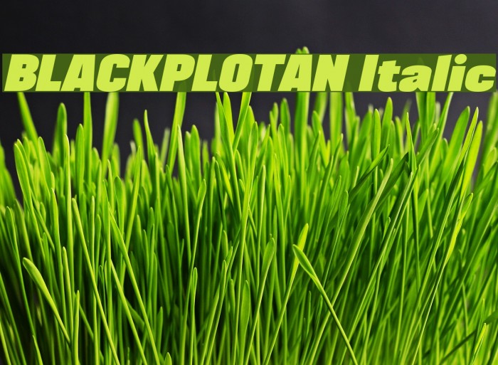 BLACKPLOTAN Italic Font examples
