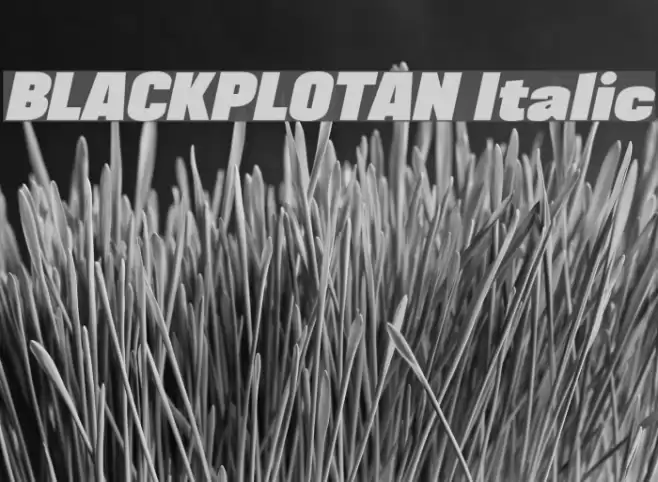 BLACKPLOTAN Italic Font examples