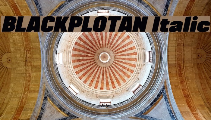 BLACKPLOTAN Italic Font examples