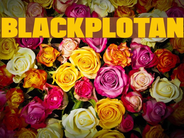BLACKPLOTAN Font examples