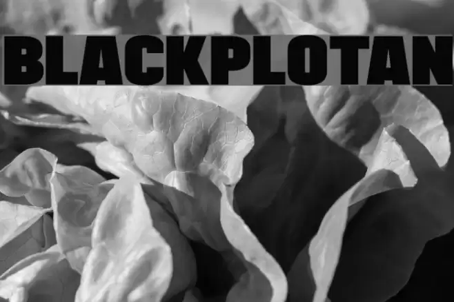 BLACKPLOTAN Font examples