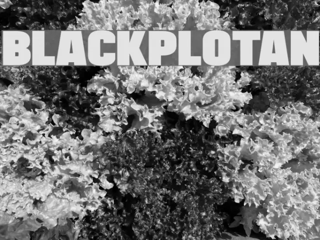 BLACKPLOTAN Font examples