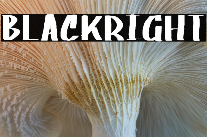 BLACK_RIGHT Example 2