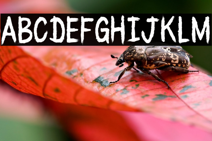 BLACK_WATER_CRE Example 1