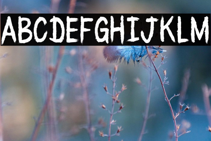 BLACK_WATER_CRE Example 2