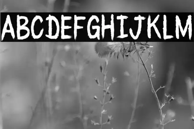 BLACK_WATER_CRE Font examples