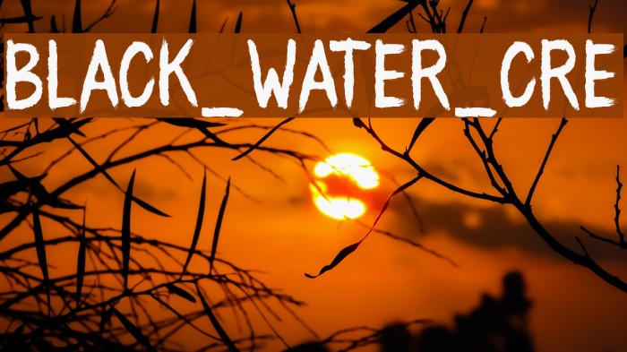 BLACK_WATER_CRE Example 2