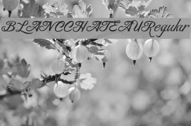 BLANCCHATEAU-Regular Schriftart examples