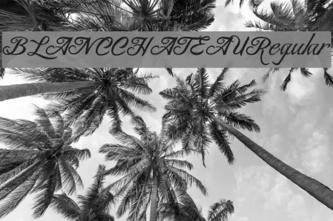 BLANCCHATEAU-Regular Schriftart examples