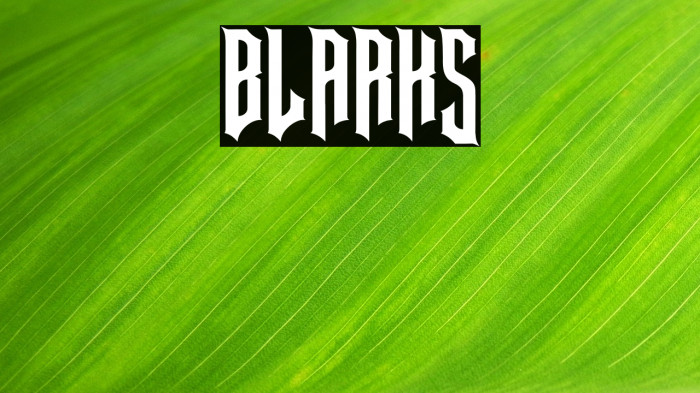 BLARKS Example 1