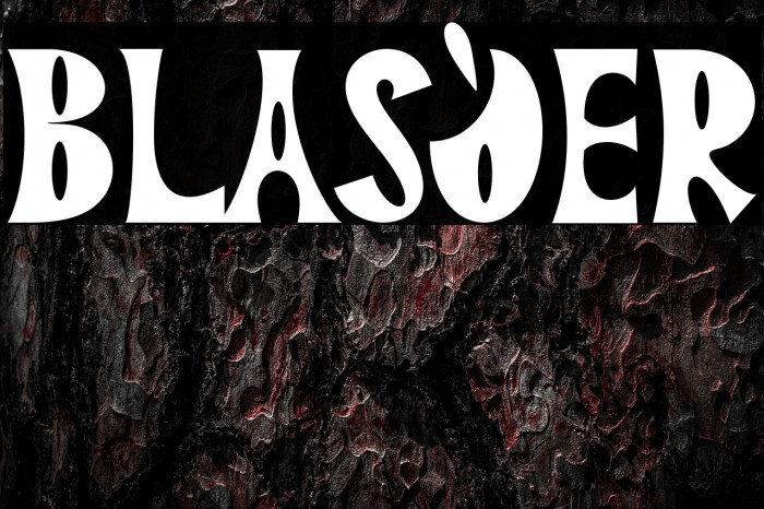 BLASQER Example 3