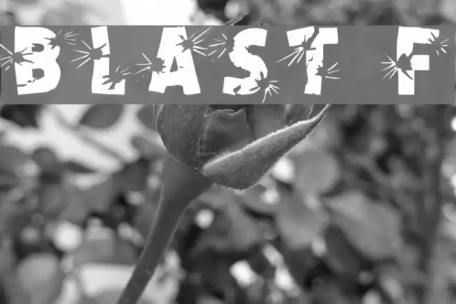 BLAST Fonte examples