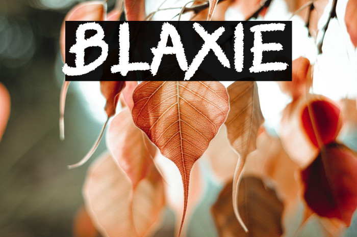 BLAXIE Example 1