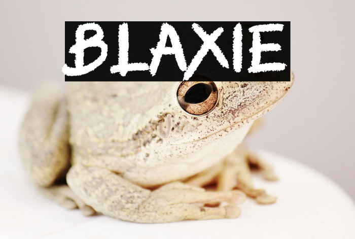 BLAXIE Example 2