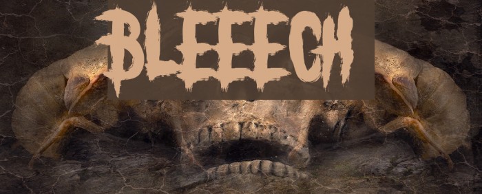 BLEEECH Font examples