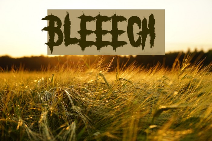 BLEEECH Font examples