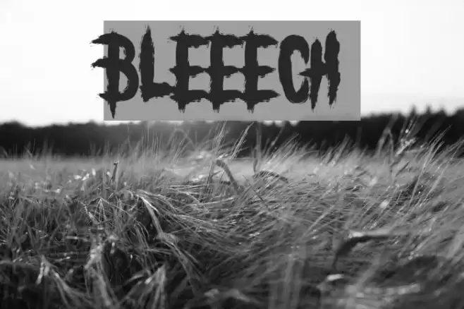 BLEEECH Polices examples