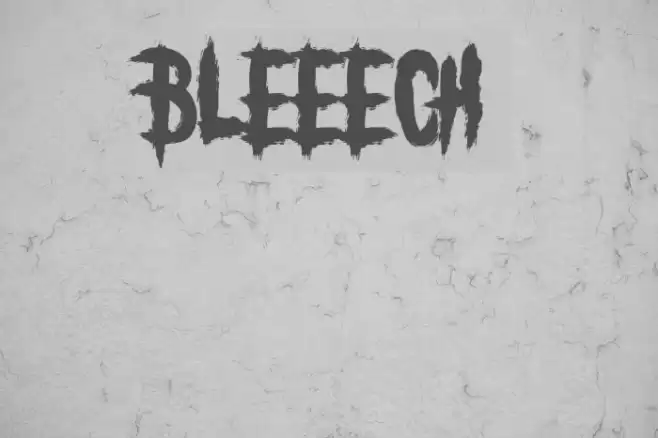 BLEEECH Polices examples