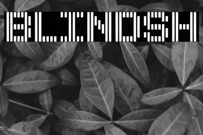 BLINDSH Font examples