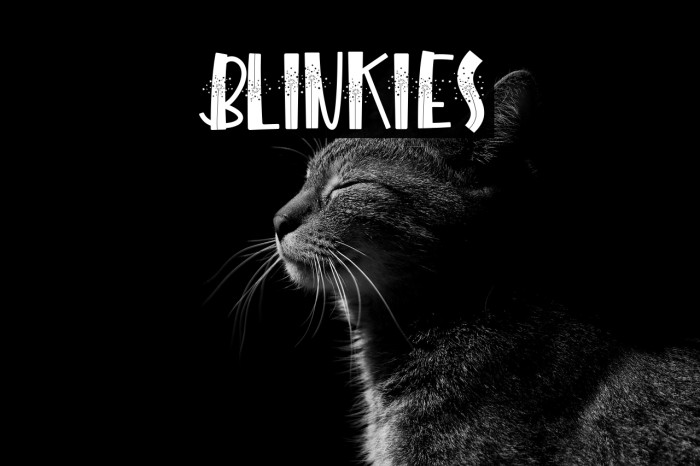 BLINKIES Example 1