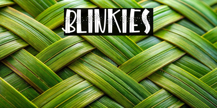 BLINKIES Example 2