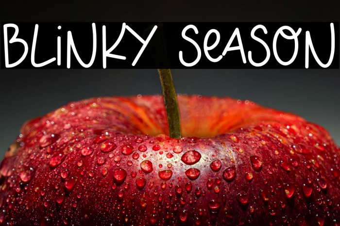 BLINKY SEASON Example 2