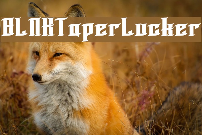 BLNKTaperLucker Font examples