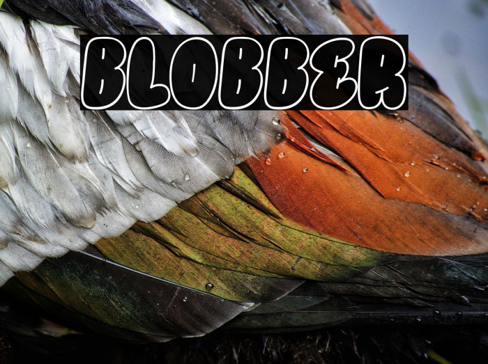 BLOBBER Example 3