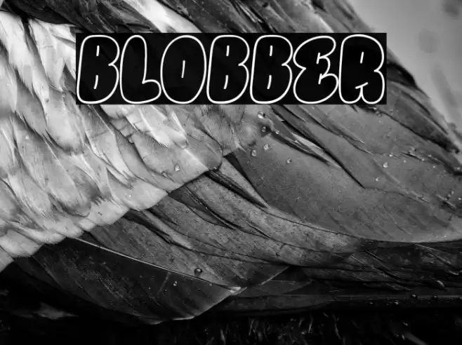 BLOBBER 字体 examples
