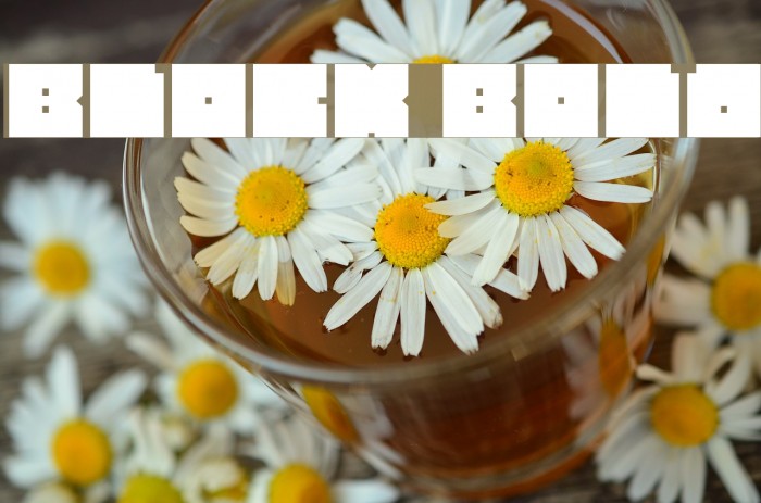 BLOCK Bold Example 1