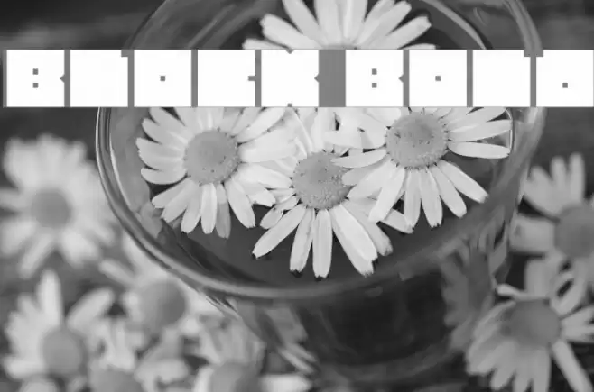 BLOCK Bold Font examples