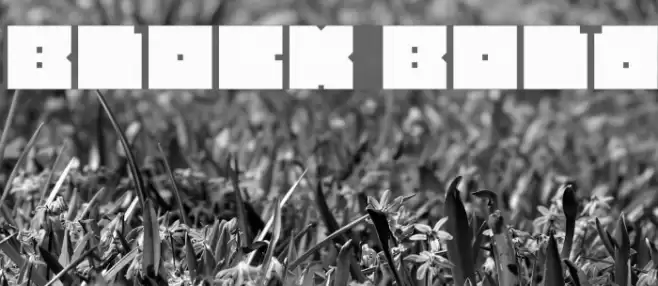 BLOCK Bold Font examples