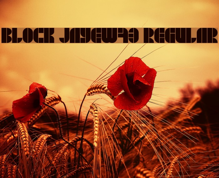 BLOCK JayeW73 Regular Font examples