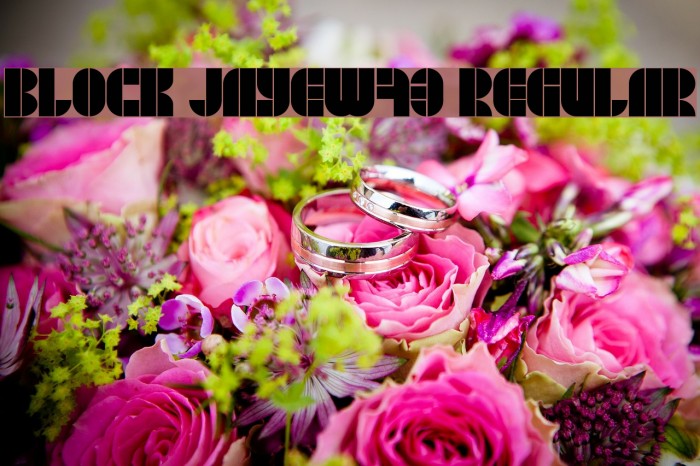 BLOCK JayeW73 Regular Font examples