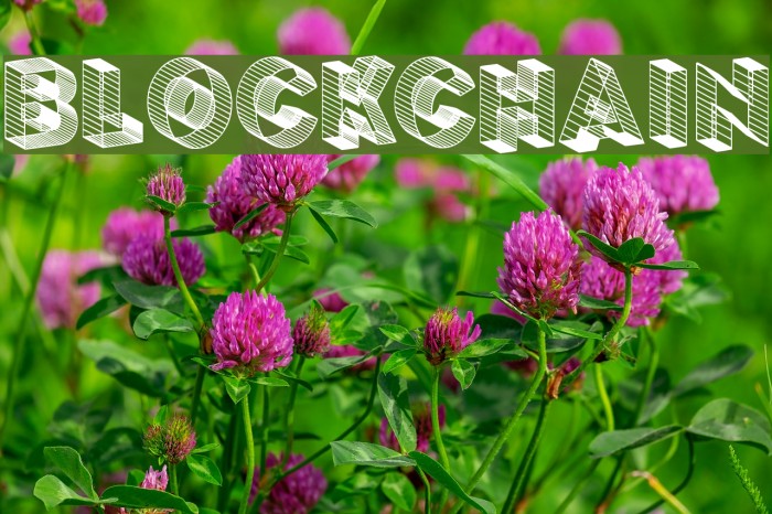 BLOCKCHAIN Example 1